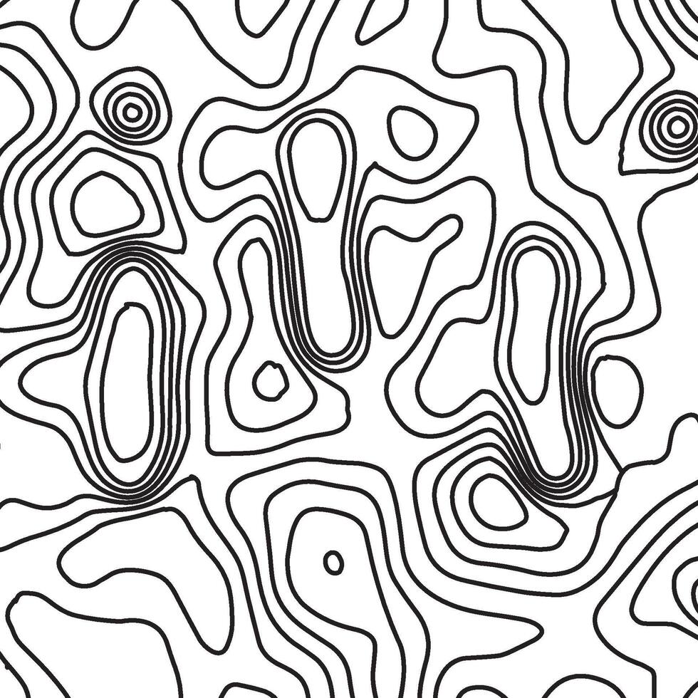 Abstract Moutain Map and Contours. Square Topographic Map vector