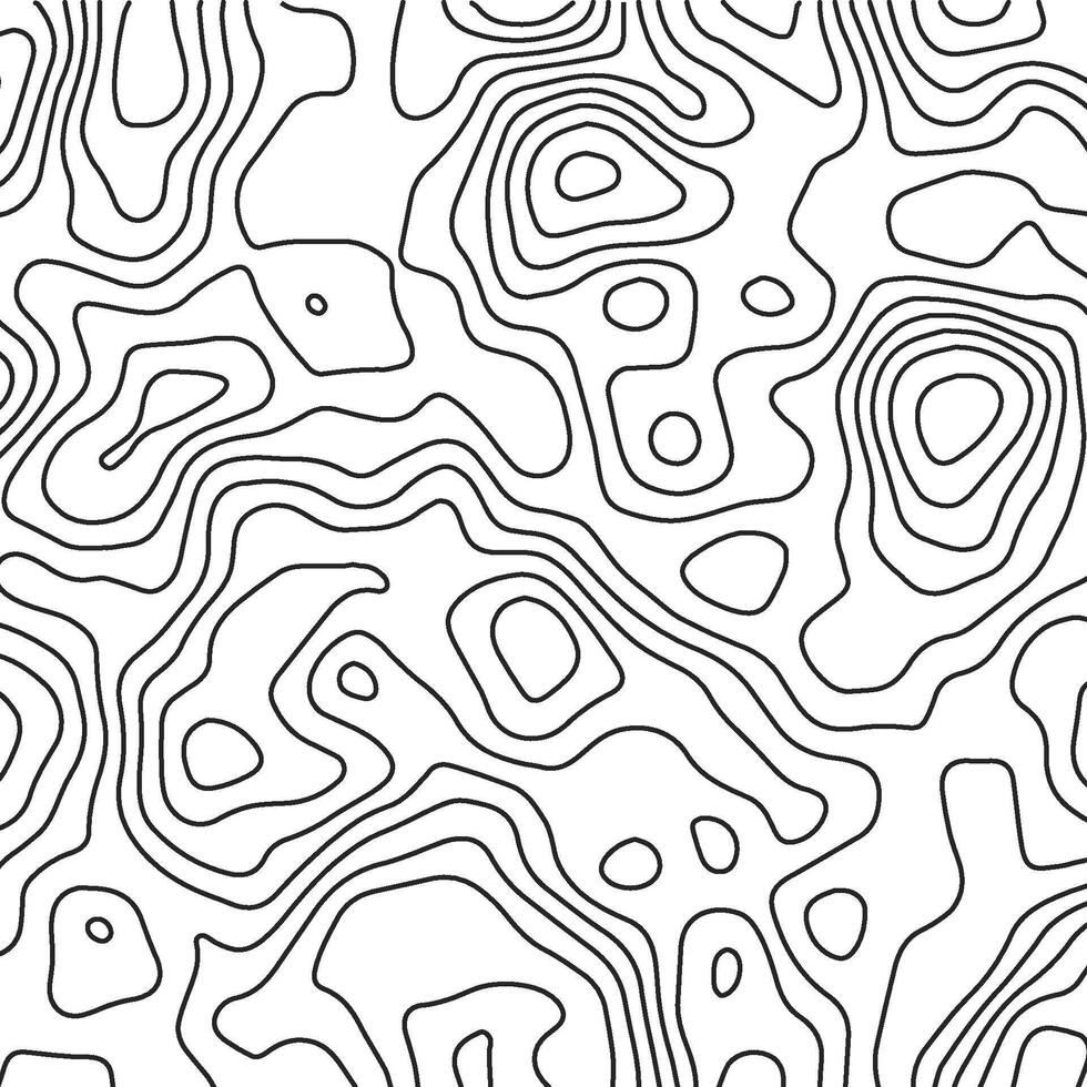 Abstract Topography Map Modern Lines and Grid vector