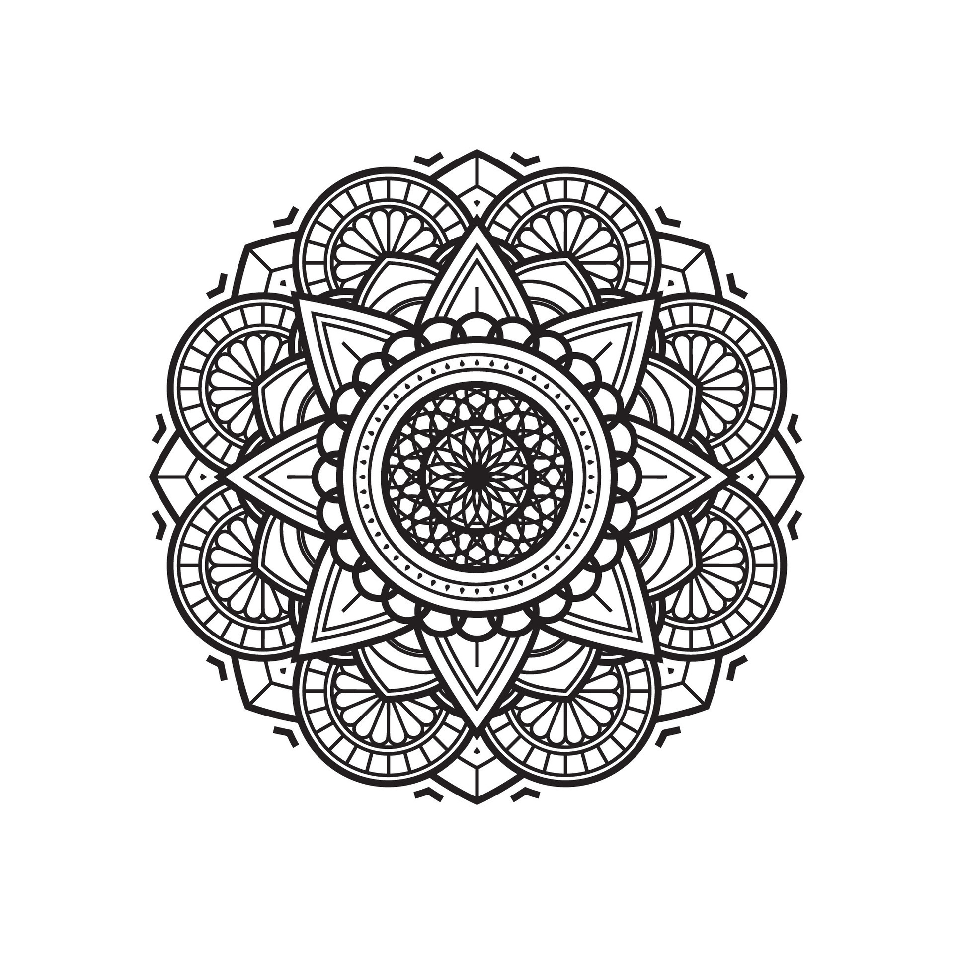 Simple Circle Blooms Of Achromatic Black and White Mandala Shape