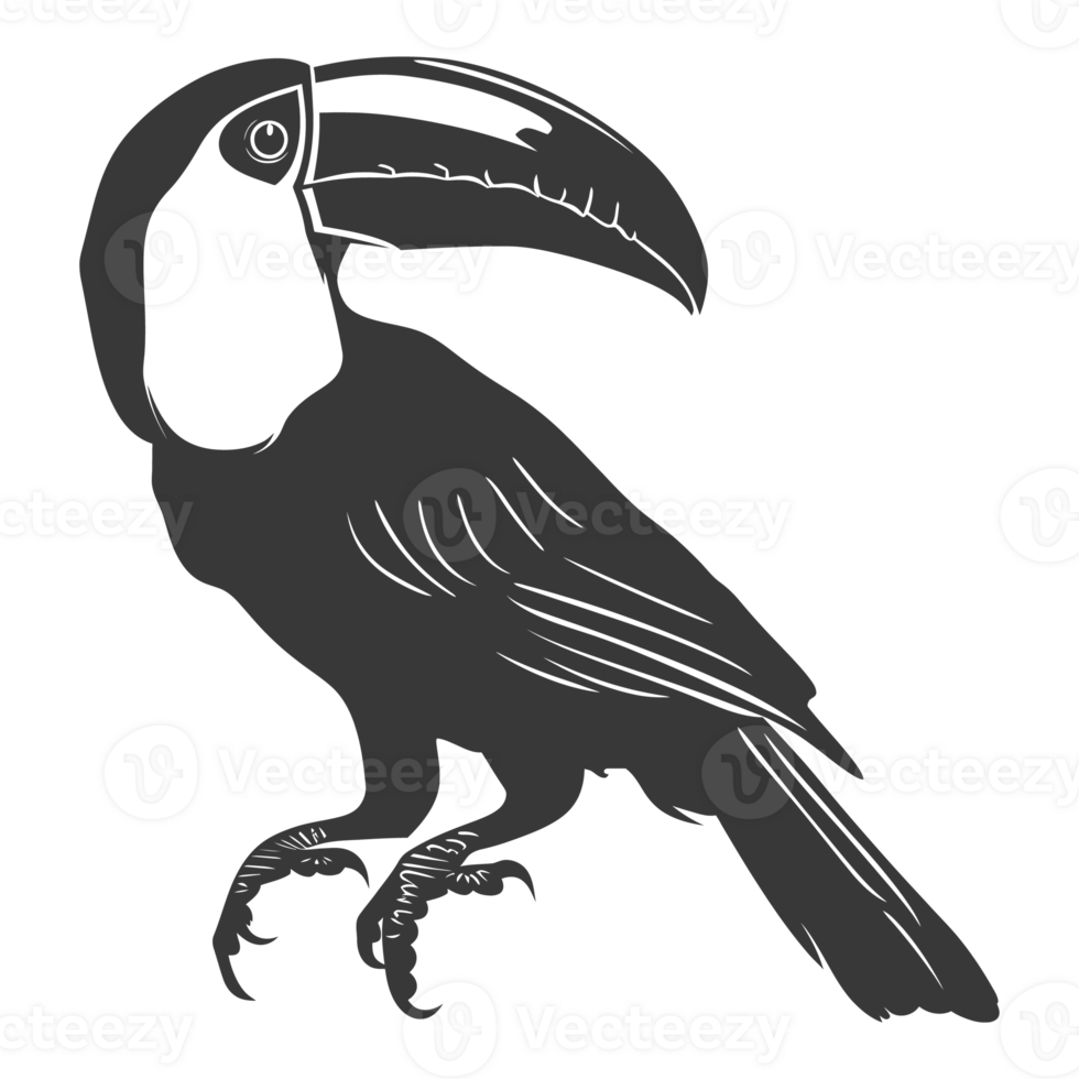 AI generated Silhouette Toucan bird animal black color only full body png