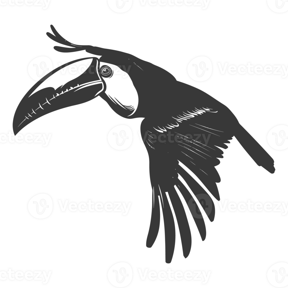AI generated Silhouette Toucan bird animal fly black color only full body png