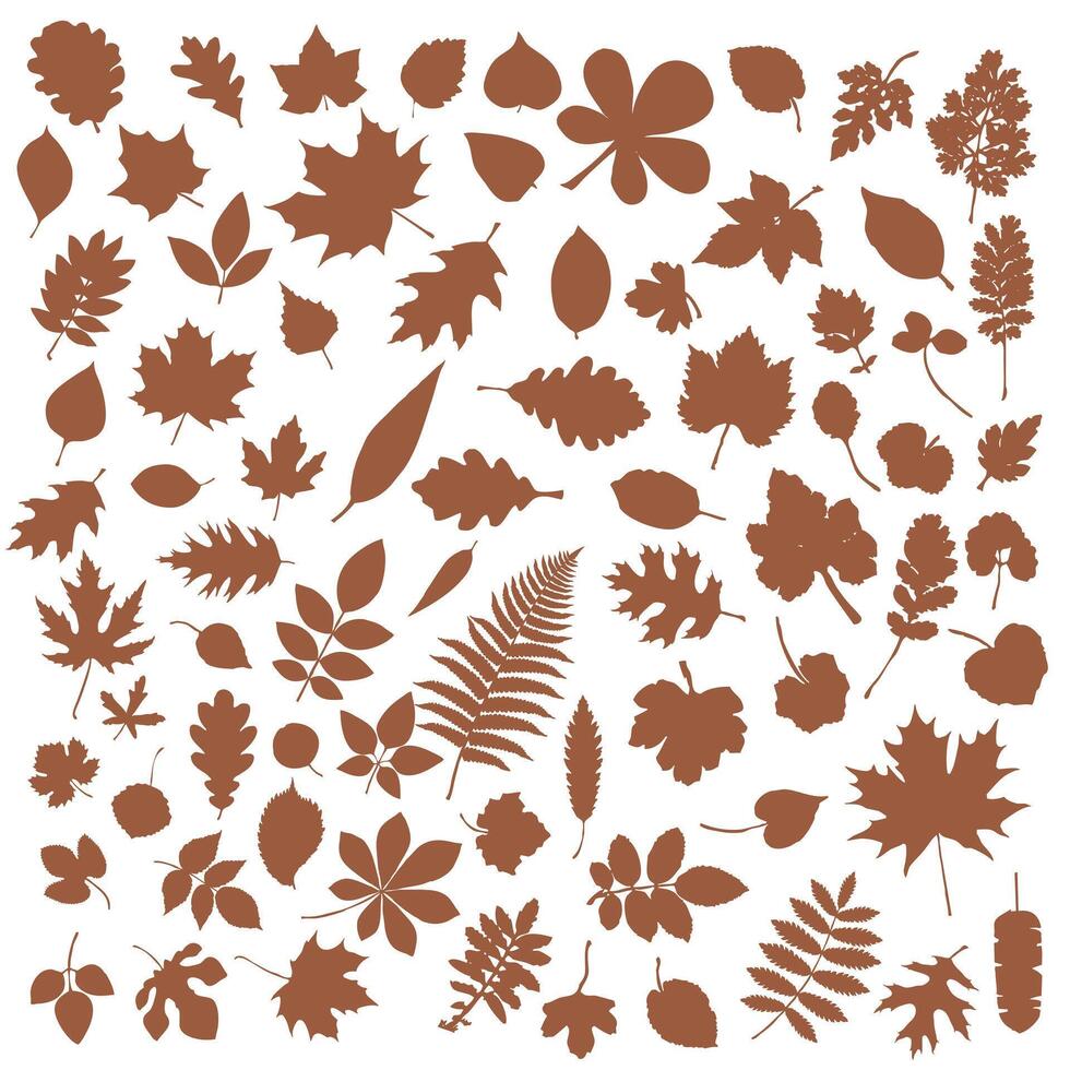 A large set of silhouettes of autumn falling tree leaves vector