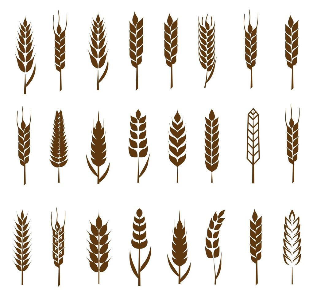 A large set of silhouettes and symbols of grains and ears of corn vector