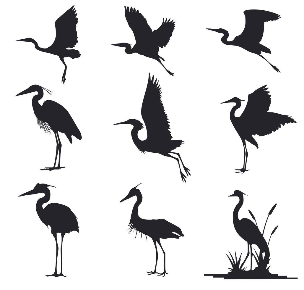 A set of silhouettes of beautiful herons vector