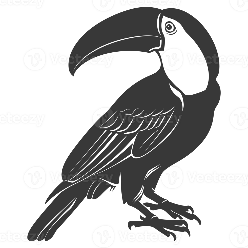 AI generated Silhouette Toucan bird animal black color only full body png