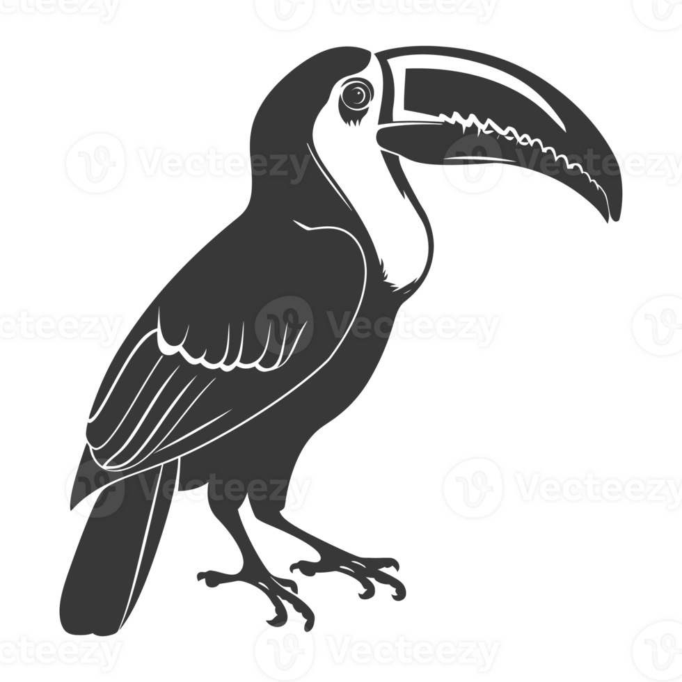 AI generated Silhouette Toucan bird animal black color only full body png