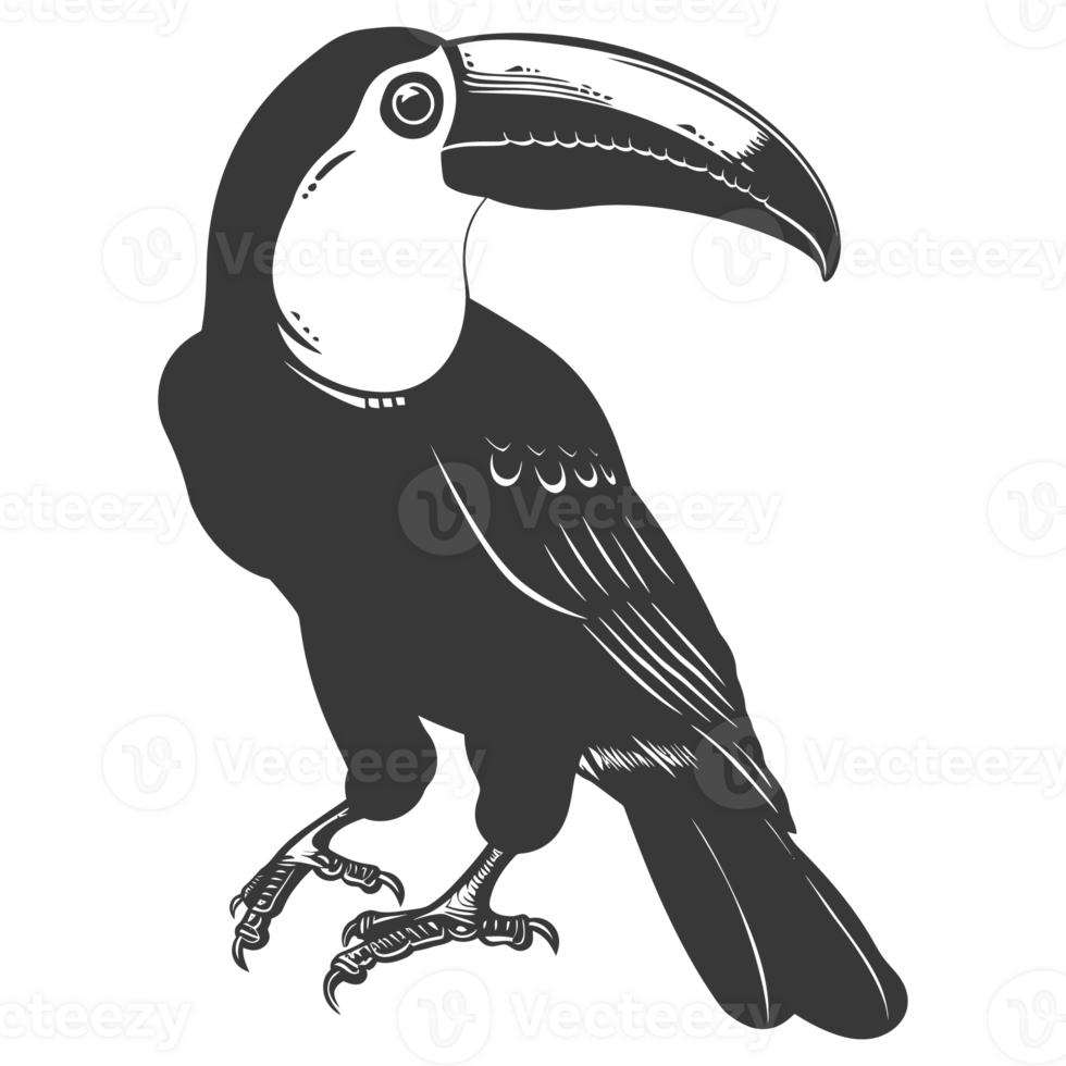AI generated Silhouette Toucan bird animal black color only full body png