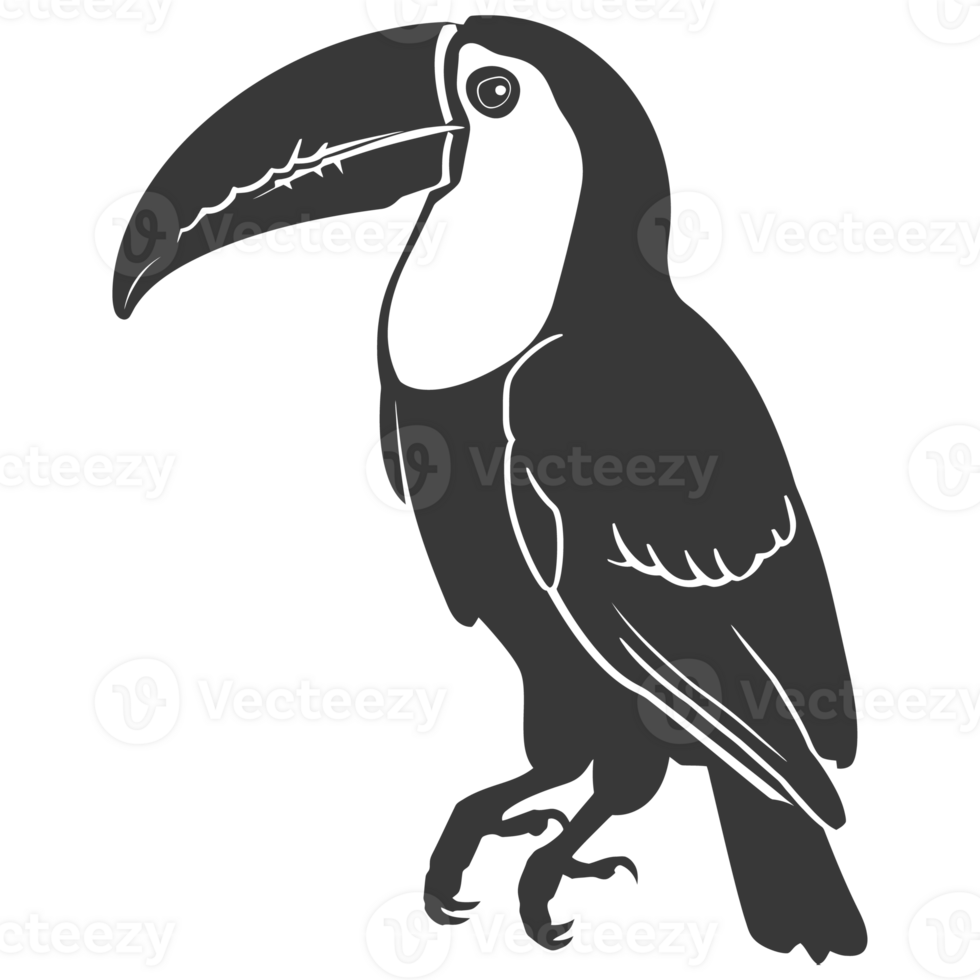 AI generated Silhouette Toucan bird animal black color only full body png