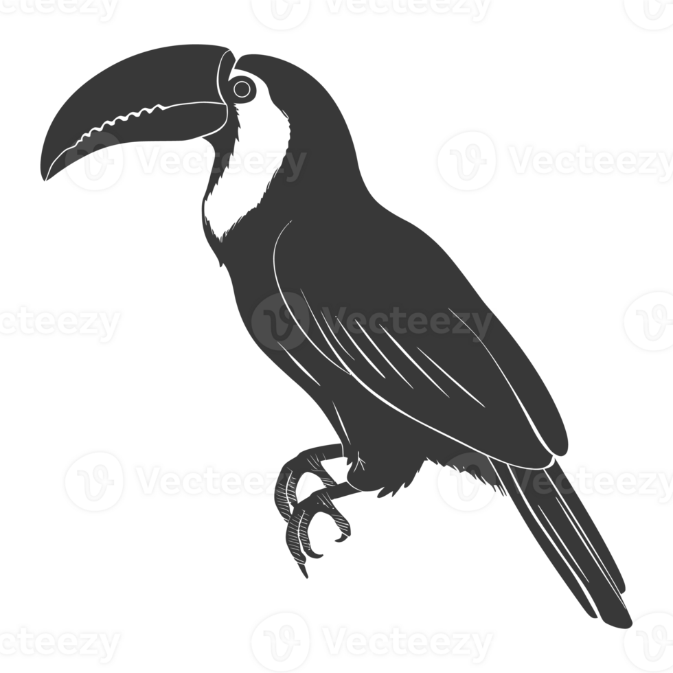 AI generated Silhouette Toucan bird animal black color only full body png