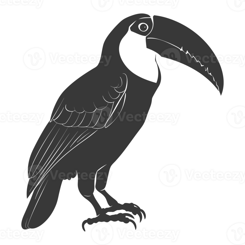 AI generated Silhouette Toucan bird animal black color only full body png