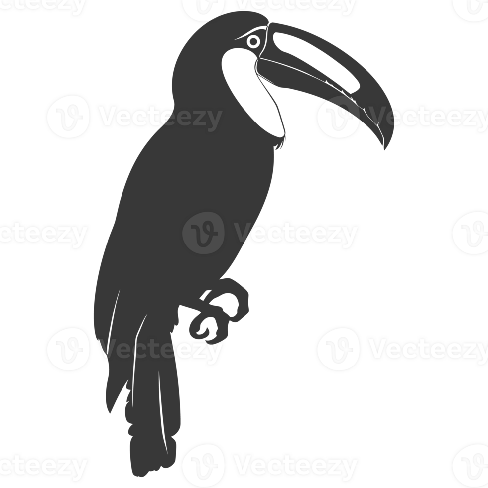 AI generated Silhouette Toucan bird animal black color only full body png