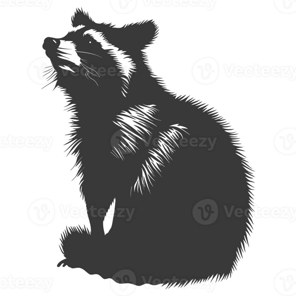 AI generated Silhouette Raccoon Animal black color only full body png