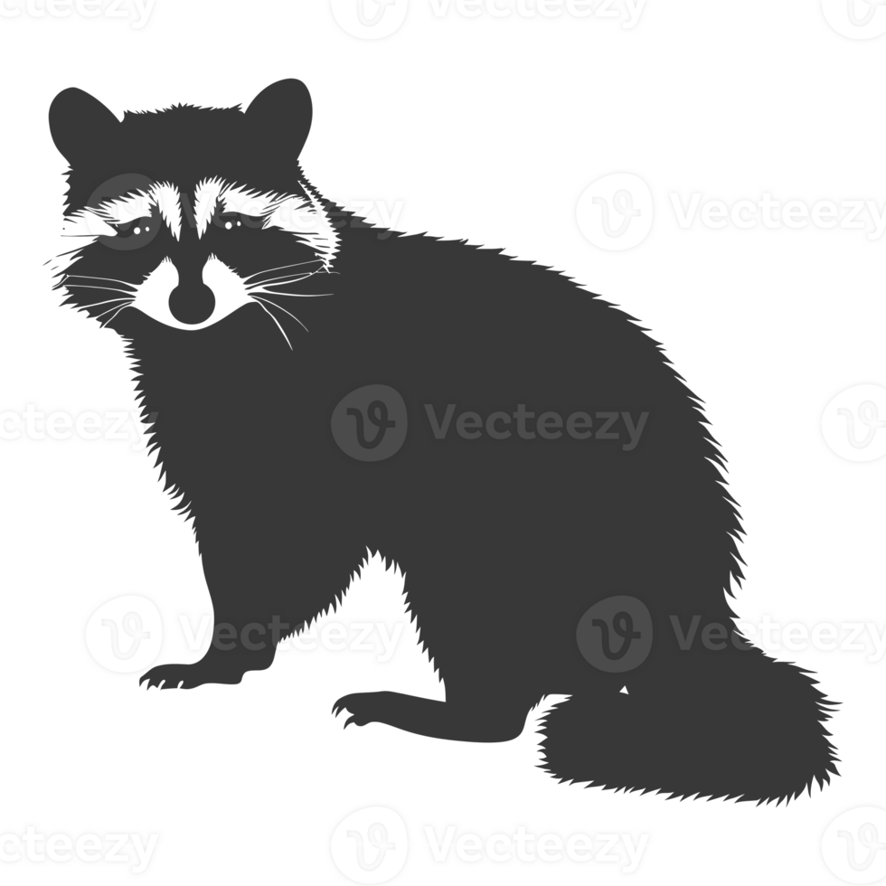 AI generated Silhouette Raccoon Animal black color only full body png