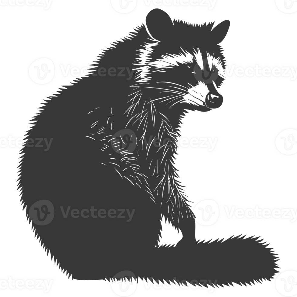 AI generated Silhouette Raccoon Animal black color only full body png