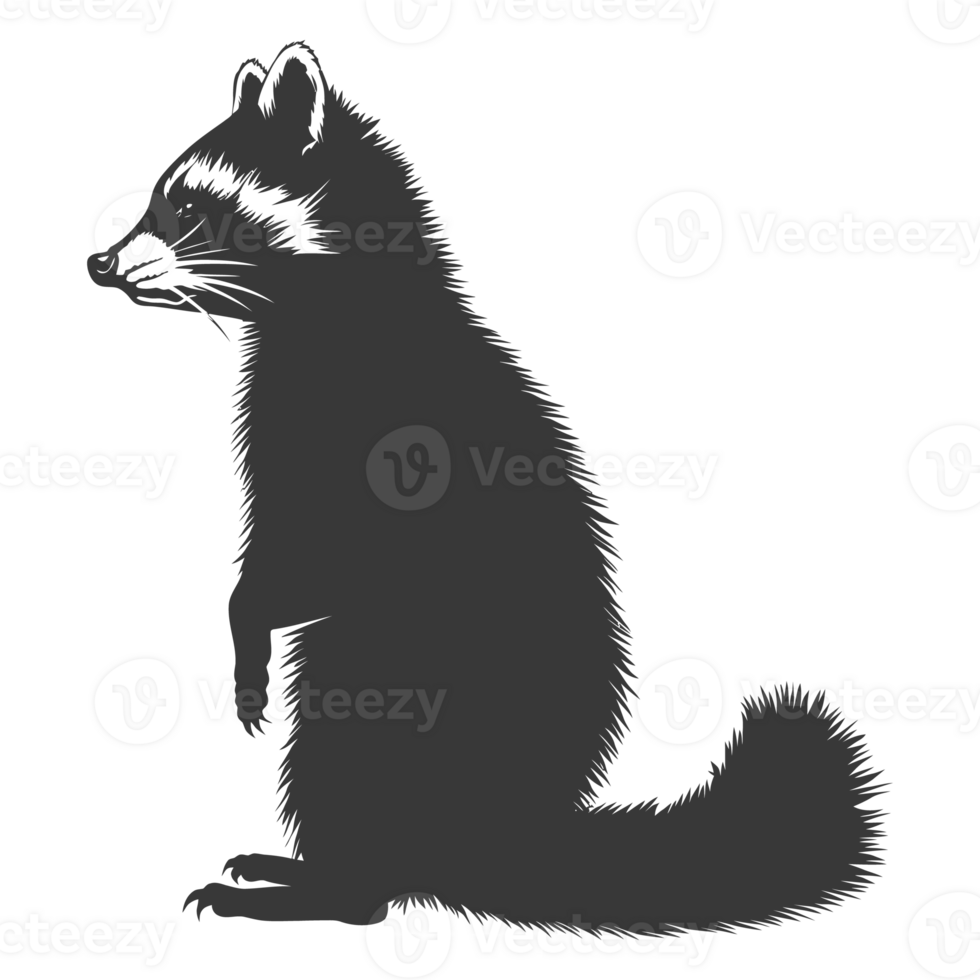 AI generated Silhouette Raccoon Animal black color only full body png