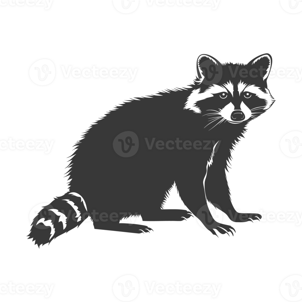 AI generated Silhouette Raccoon Animal black color only full body png