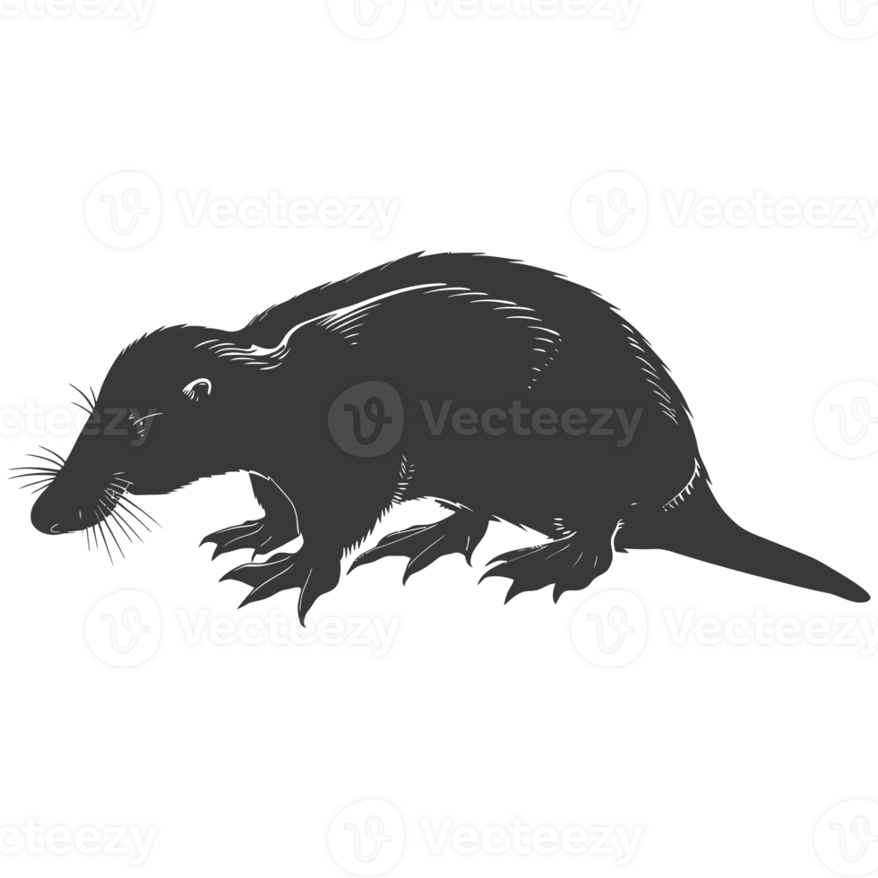 AI generated Silhouette platypus animal black color only full body png