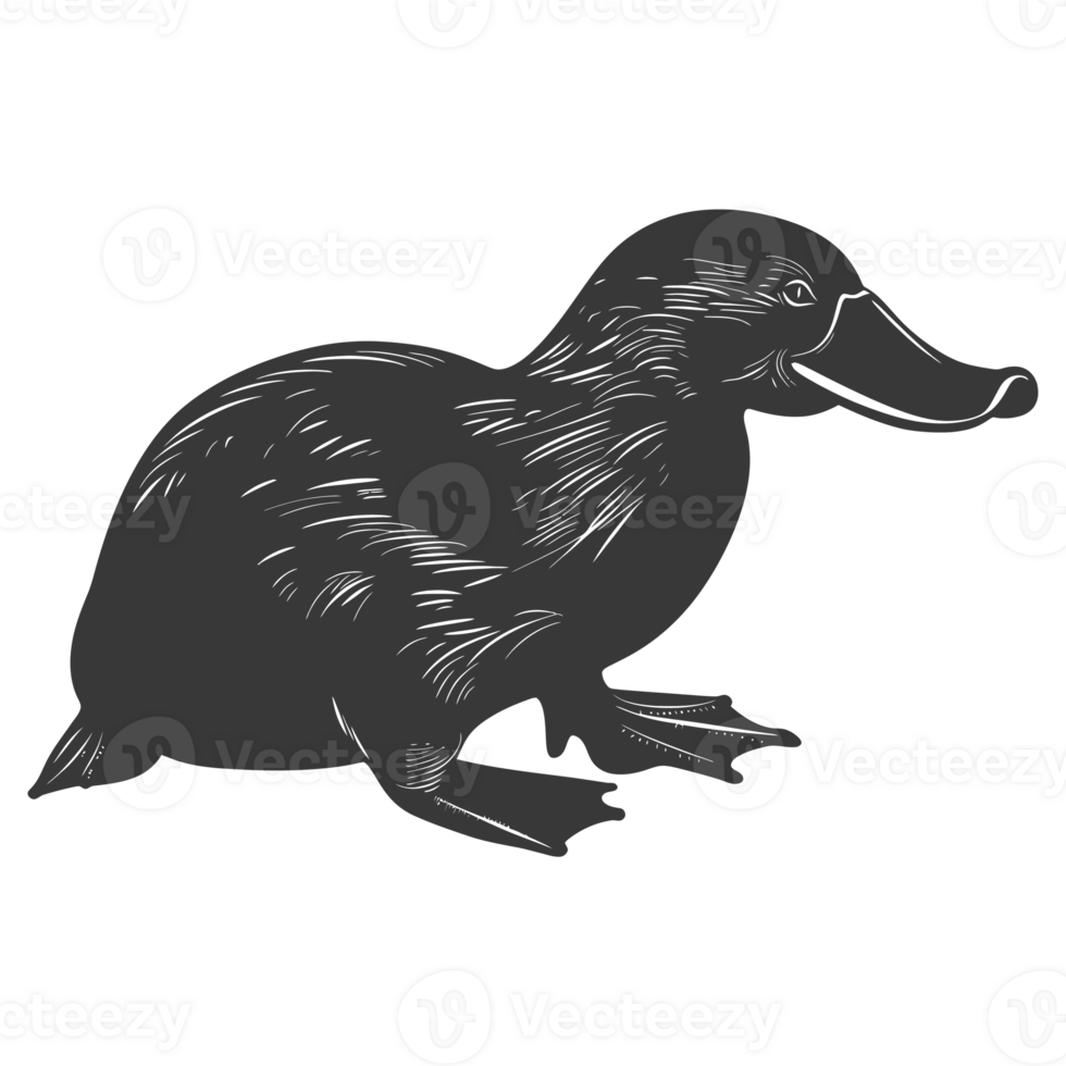 AI generated Silhouette platypus animal black color only full body png