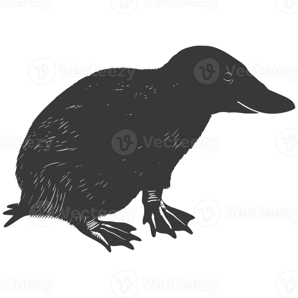 AI generated Silhouette platypus animal black color only full body png