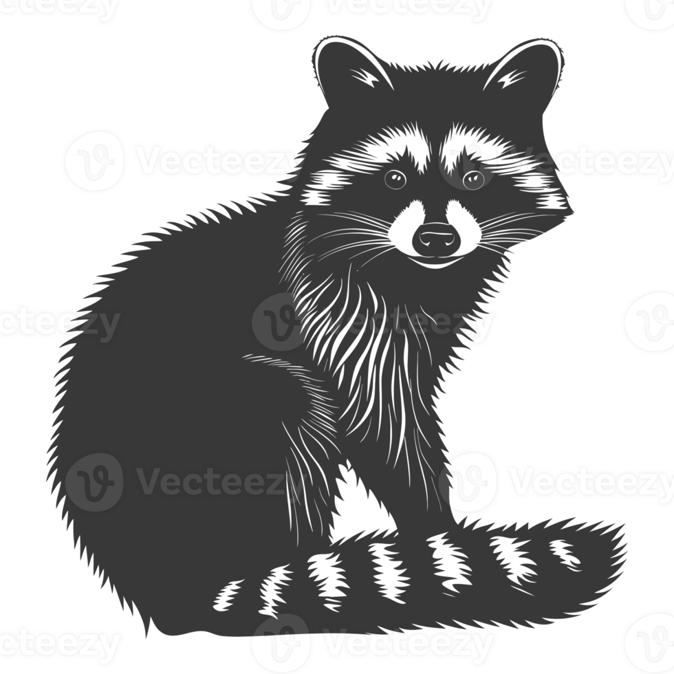 AI generated Silhouette Raccoon Animal black color only full body png