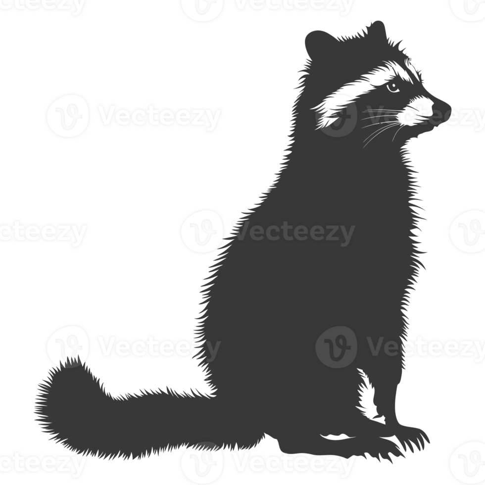 AI generated Silhouette Raccoon Animal black color only full body png