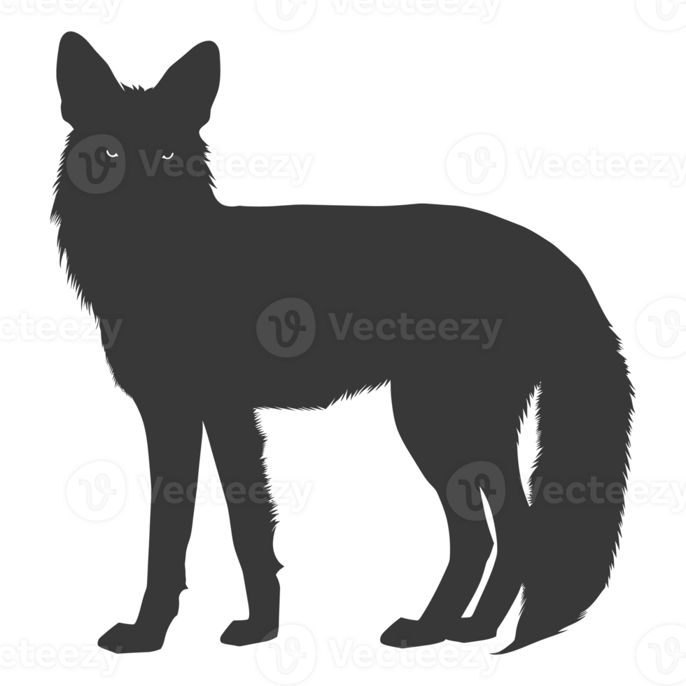 AI generated Silhouette red fox animal black color only full body png