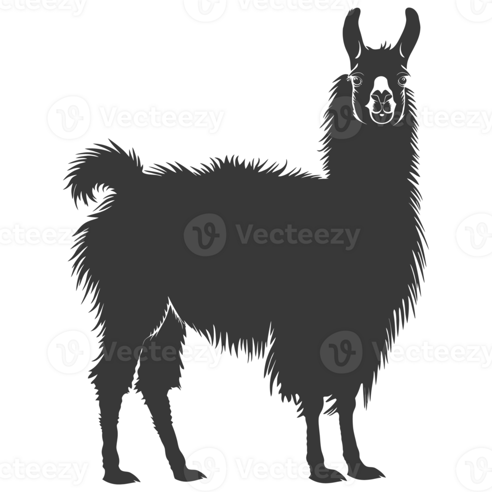 AI generated Silhouette llama animal black color only full body png
