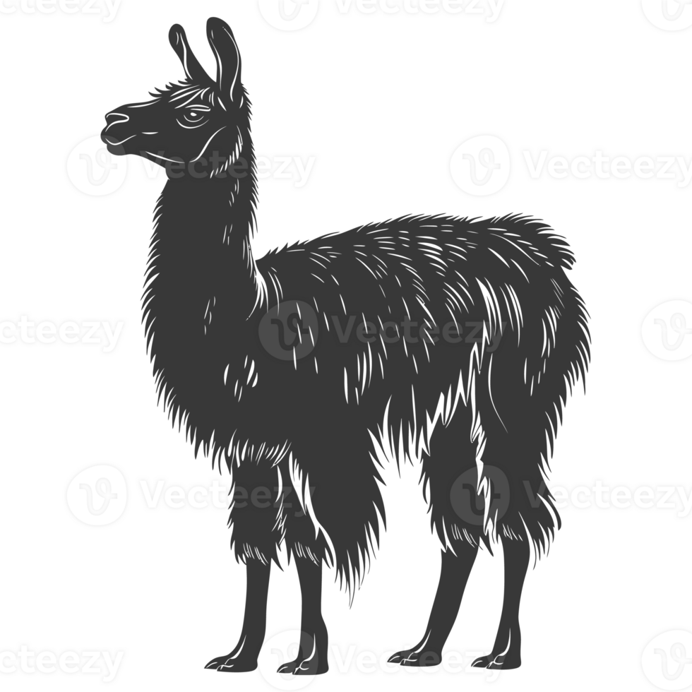AI generated Silhouette llama animal black color only full body png