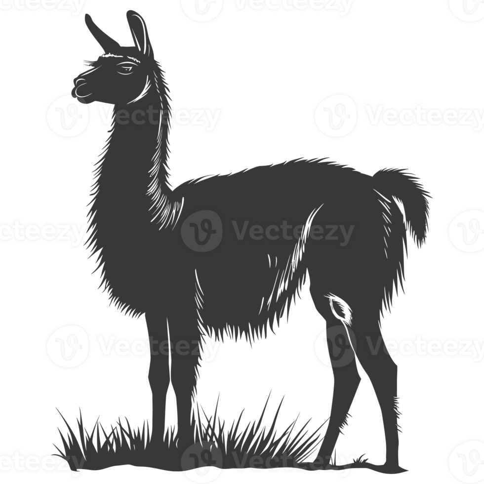 ai généré silhouette lama animal noir Couleur seulement plein corps png