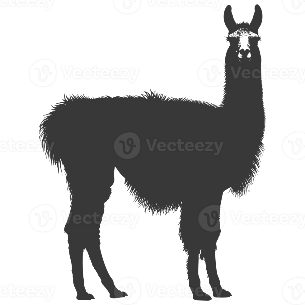 AI generated Silhouette llama animal black color only full body png