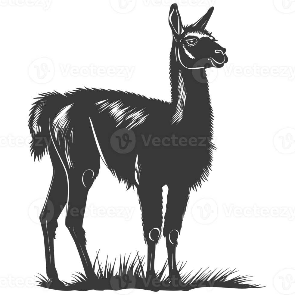 AI generated Silhouette llama animal black color only full body png