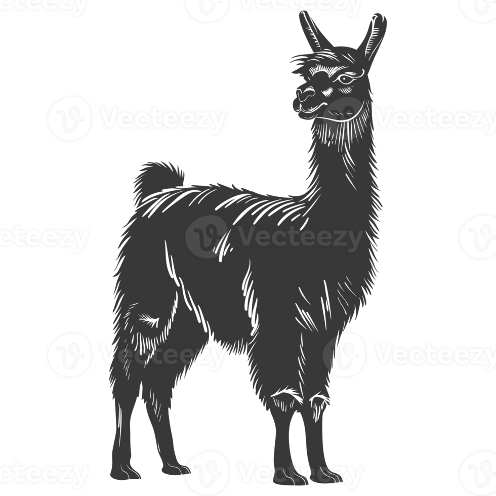 AI generated Silhouette llama animal black color only full body png