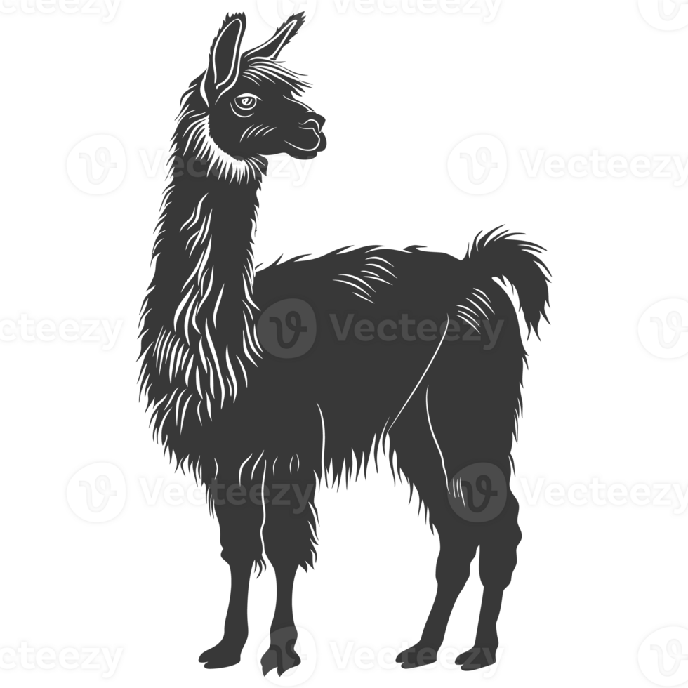 AI generated Silhouette llama animal black color only full body png