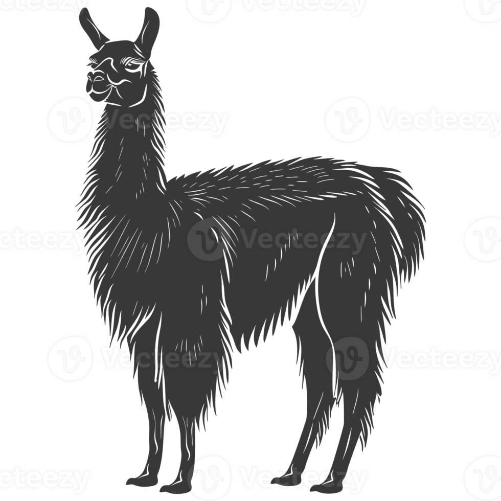 AI generated Silhouette llama animal black color only full body png