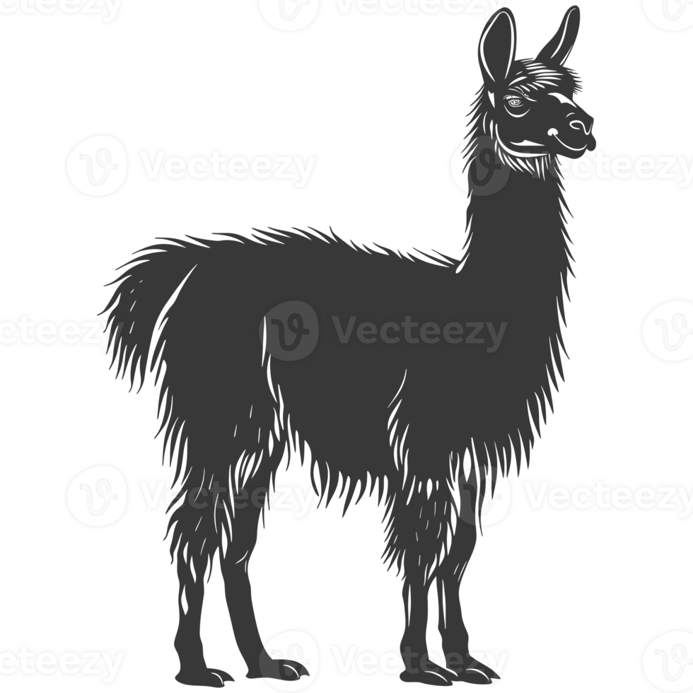 AI generated Silhouette llama animal black color only full body png