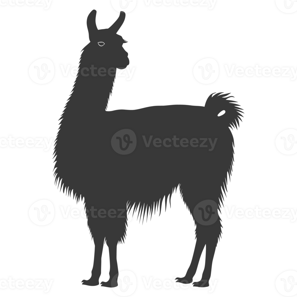 AI generated Silhouette llama animal black color only full body png