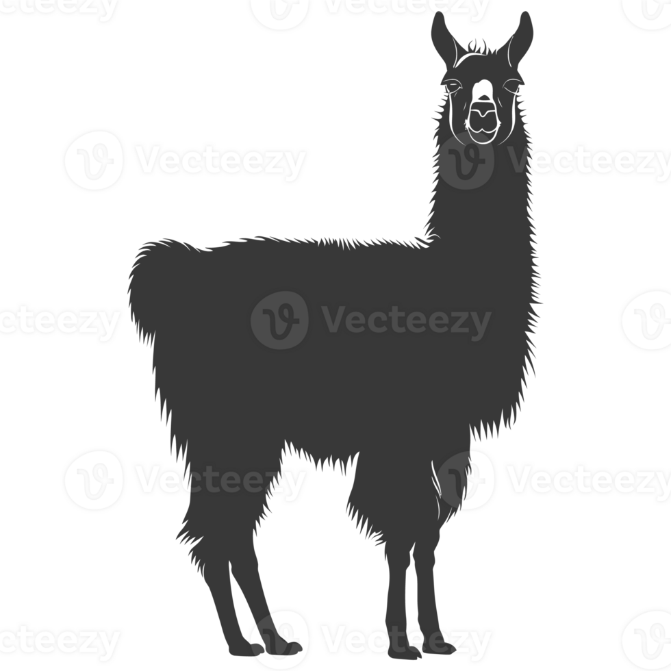 AI generated Silhouette llama animal black color only full body png