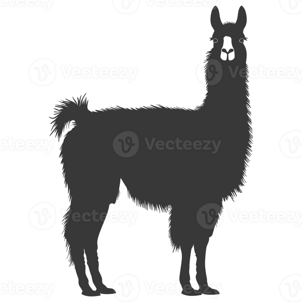 AI generated Silhouette llama animal black color only full body png