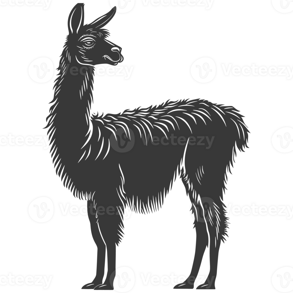 AI generated Silhouette llama animal black color only full body png