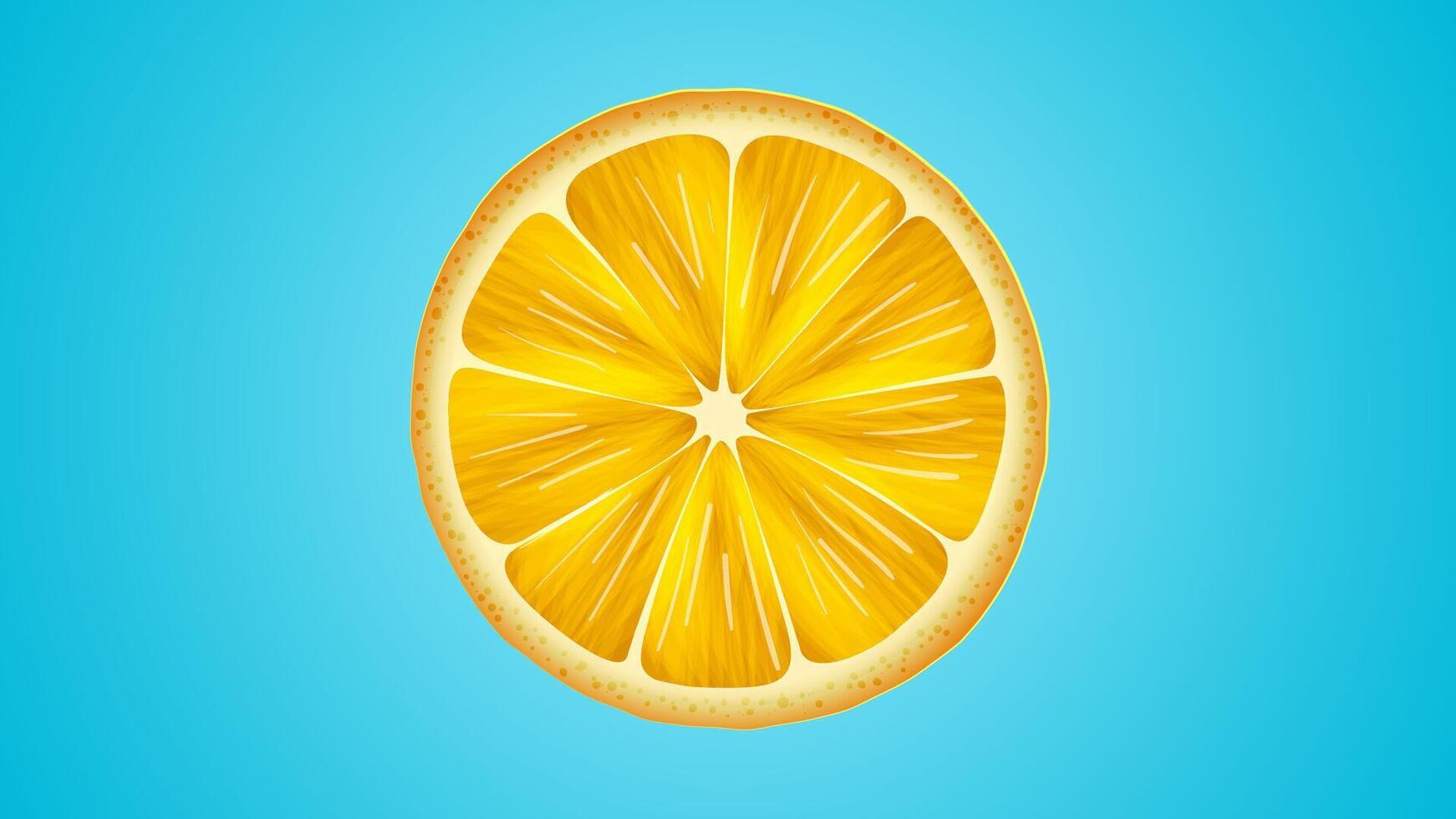 Sliced orange. Half an orange on a blue background vector