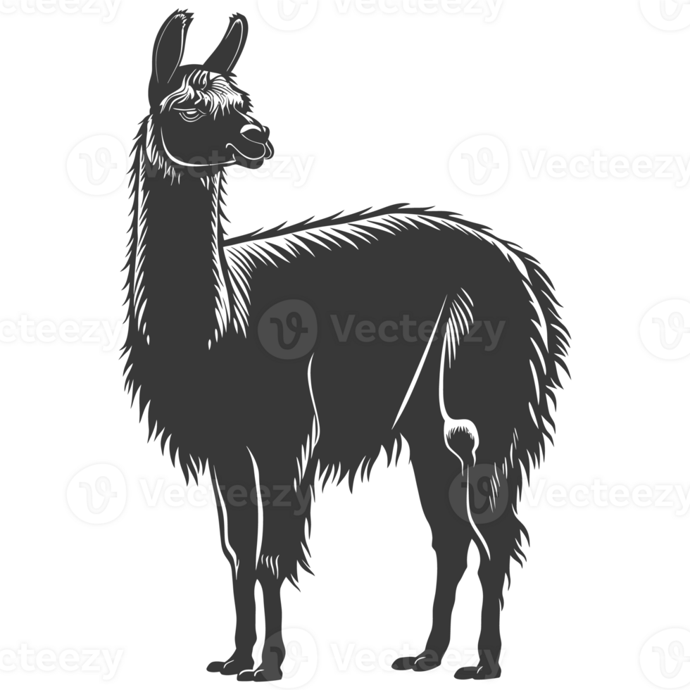 AI generated Silhouette llama animal black color only full body png