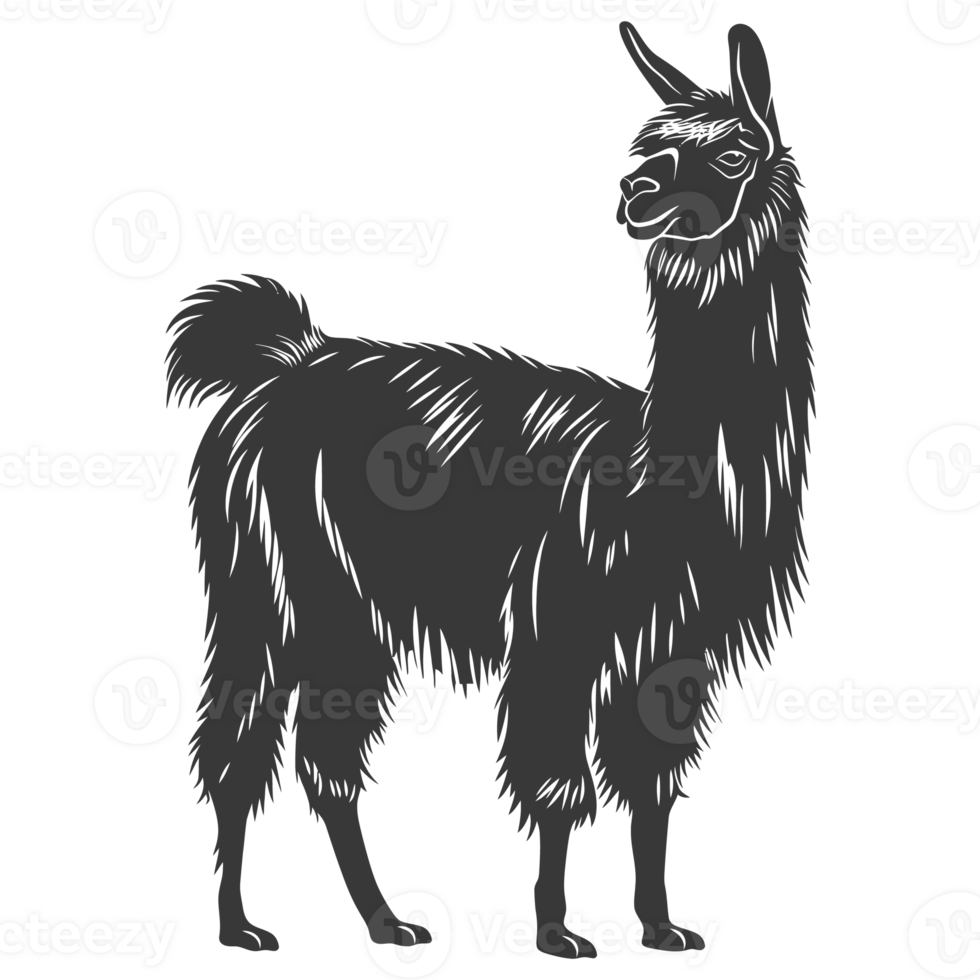 AI generated Silhouette llama animal black color only full body png
