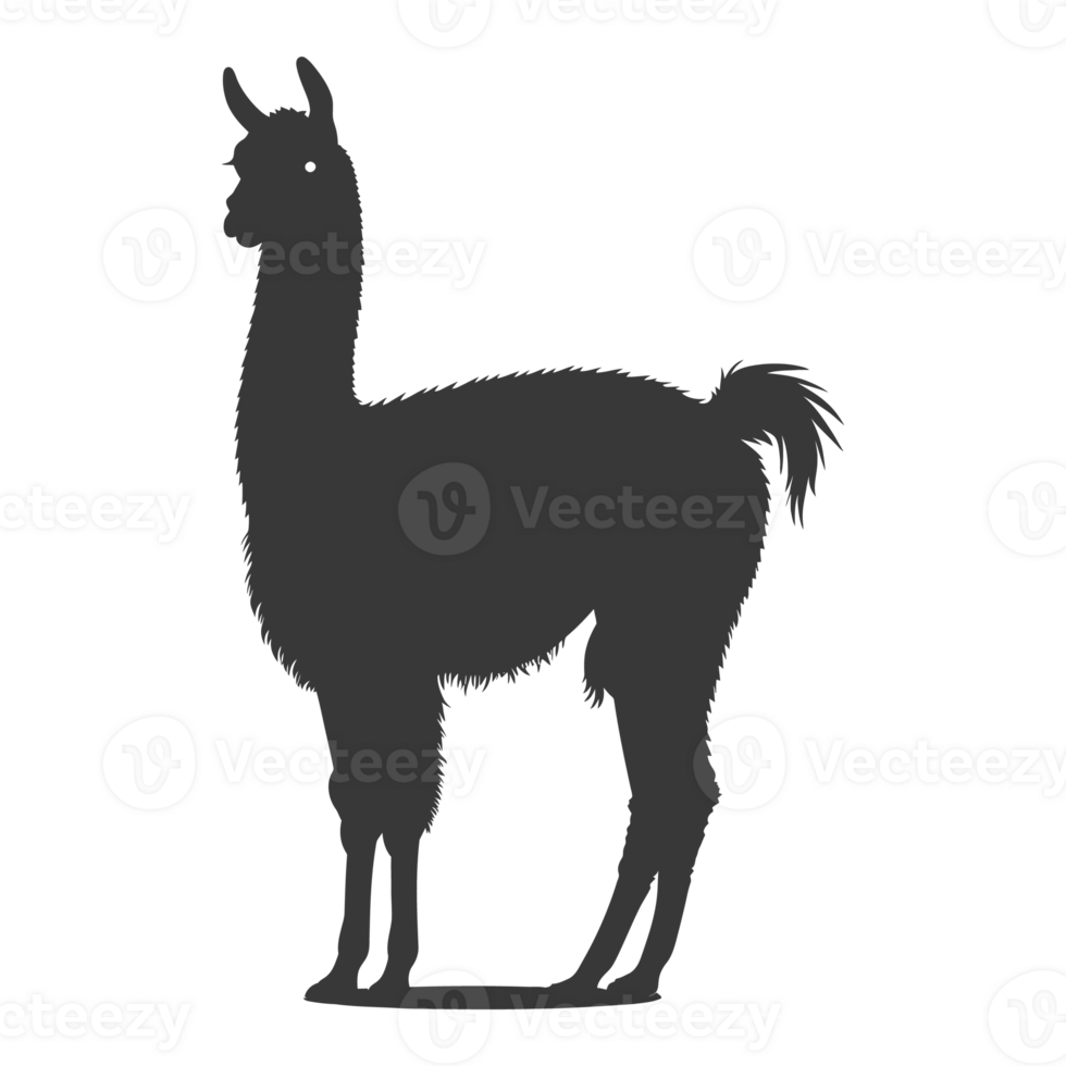 AI generated Silhouette llama animal black color only full body png