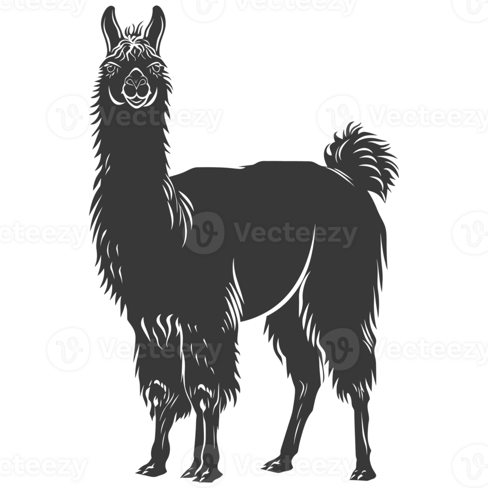 AI generated Silhouette llama animal black color only full body png