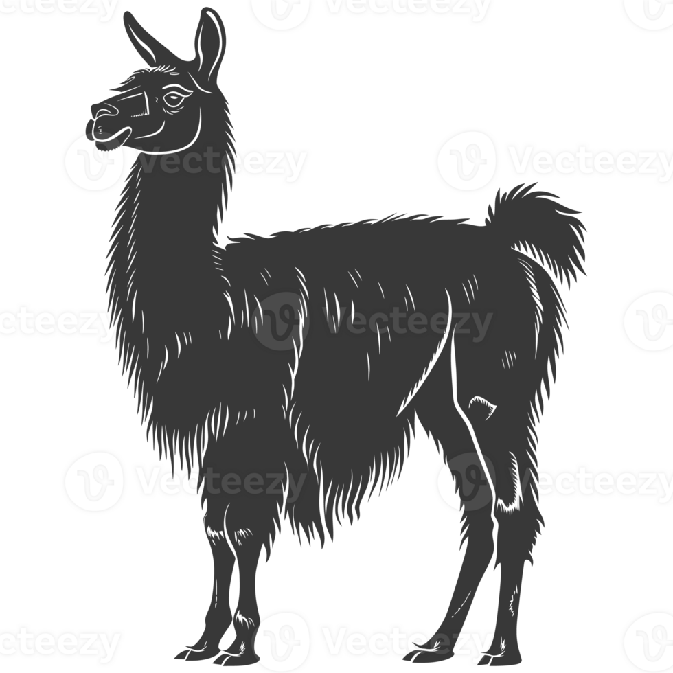 AI generated Silhouette llama animal black color only full body png