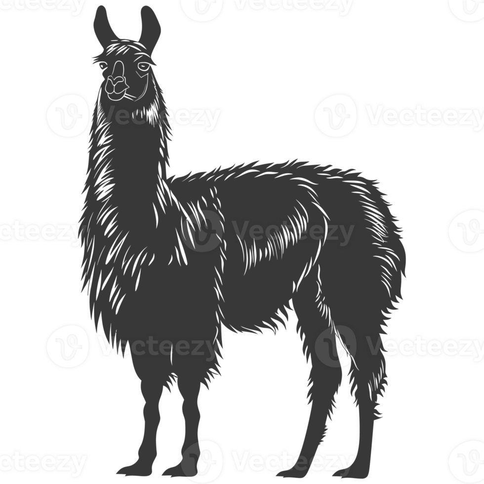 AI generated Silhouette llama animal black color only full body png