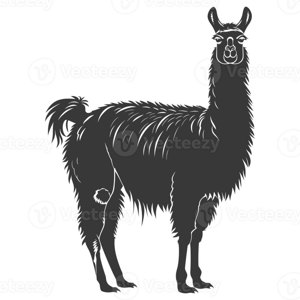 ai generado silueta llama animal negro color solamente lleno cuerpo png