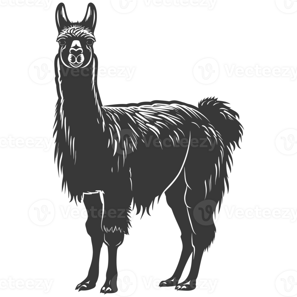 AI generated Silhouette llama animal black color only full body png