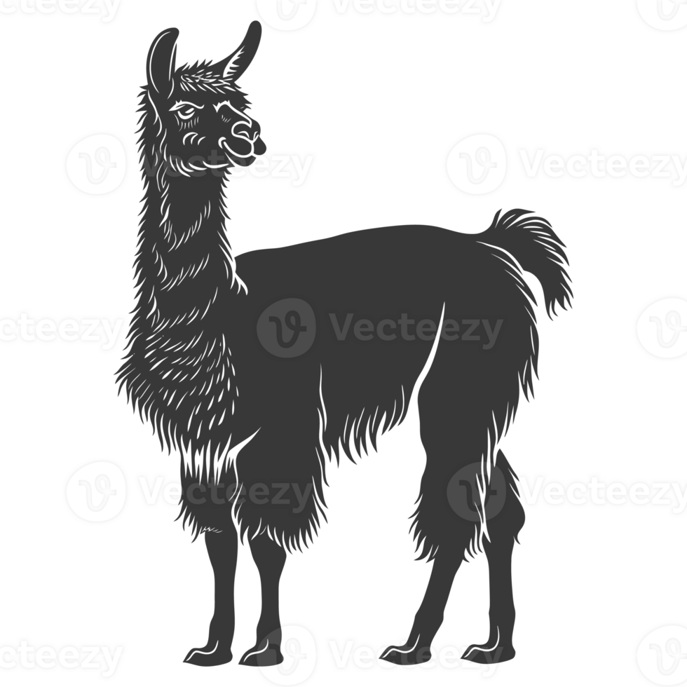 AI generated Silhouette llama animal black color only full body png