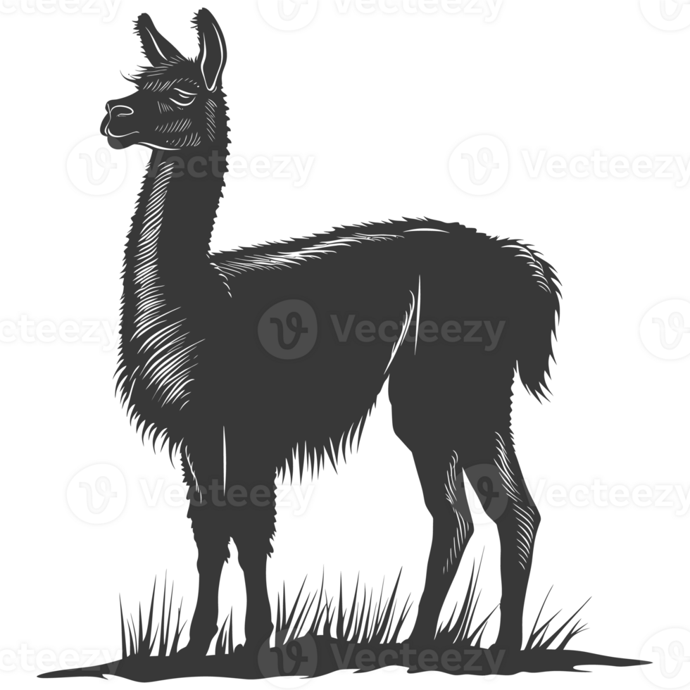 AI generated Silhouette llama animal black color only full body png